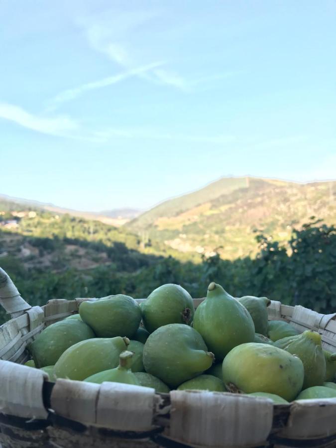 Private Douro- Quinta Das Susandas Mesão Frio Kültér fotó