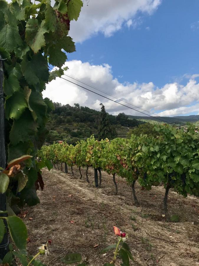 Private Douro- Quinta Das Susandas Mesão Frio Kültér fotó