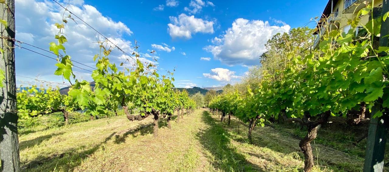 Private Douro- Quinta Das Susandas Mesão Frio Kültér fotó