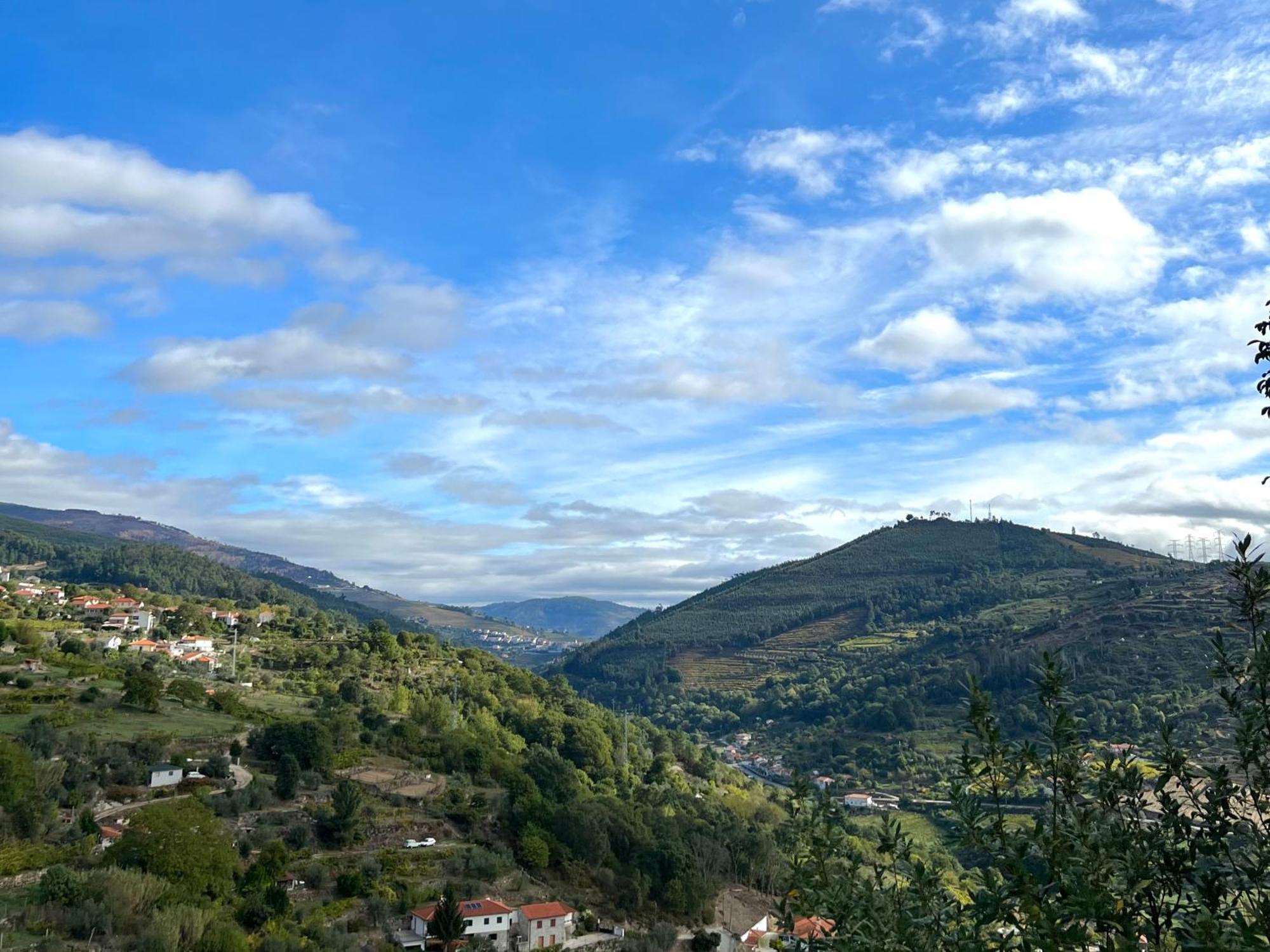 Private Douro- Quinta Das Susandas Mesão Frio Kültér fotó