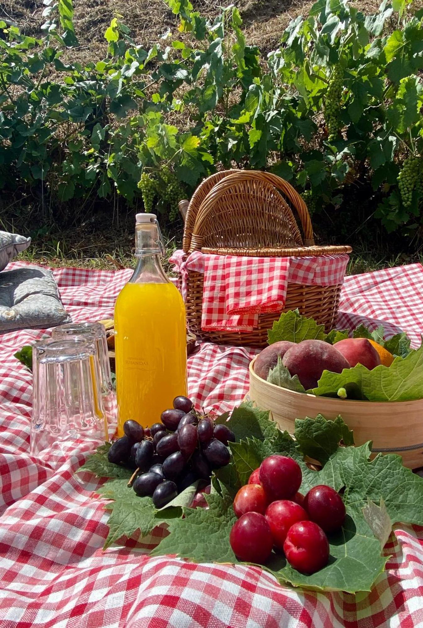 Private Douro- Quinta Das Susandas Mesão Frio Kültér fotó