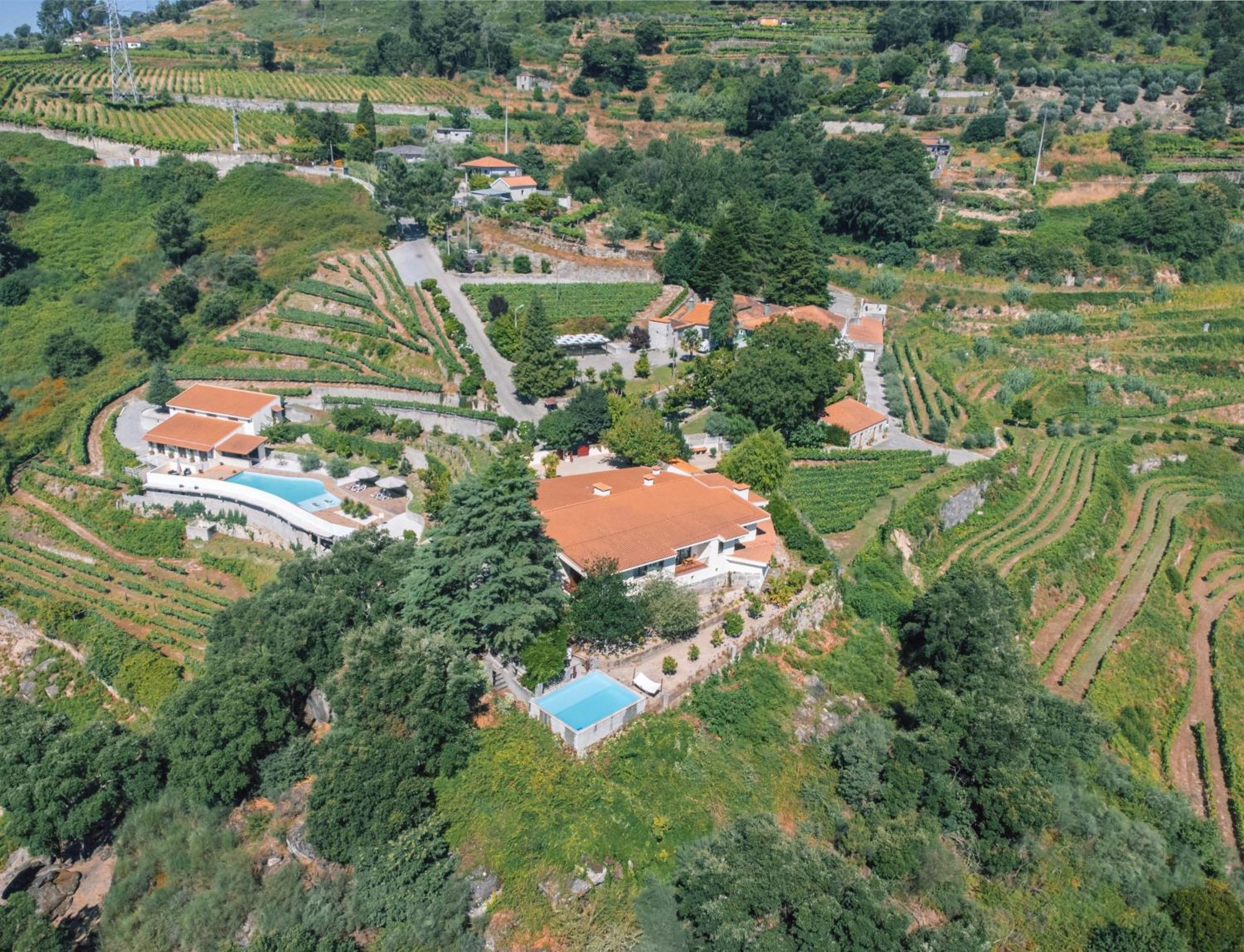 Private Douro- Quinta Das Susandas Mesão Frio Kültér fotó